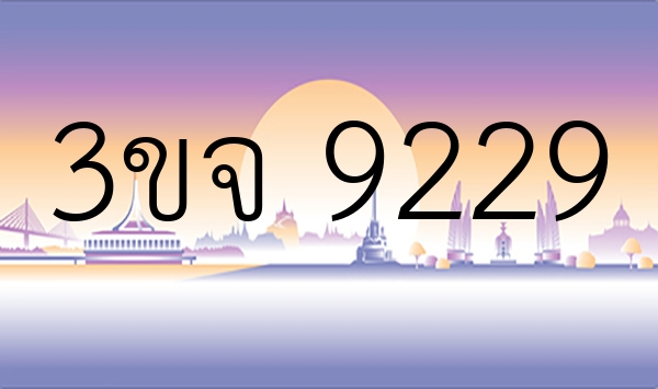 3ขจ 9229